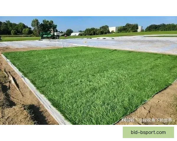 2026世界杯北美主办方确认引入混合草坪系统提升赛事质量 2026世界杯北美主办方确认引入混合草坪系统提升赛事质量