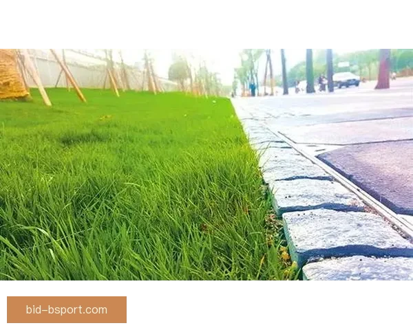 休斯敦宣布改造世界杯体育场周边人行道提升城市交通环境